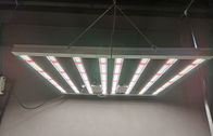 600w LED ในร่มเติบโตแสงพืชในร่มเติบโตไฟ AC85 - 265V แรงดันไฟฟ้าอินพุต