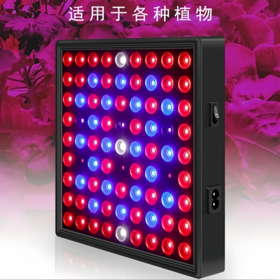 LED สเปคเตอร์เต็ม พืชเติบโตแสง 50w 80W สีแดง สีน้ําเงิน