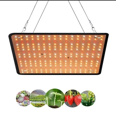 รูปแบบเศรษฐกิจ แสงพืชเติบโตเต็มสเปคเตอร์ แสงสีแดง แสงสีน้ําเงินสําหรับแสงเรือนกระจก