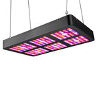 การใช้พลังงานต่ำ LED ในร่มเติบโตแสงเต็มสเปกตรัมแสงเติบโต 400W - 800w